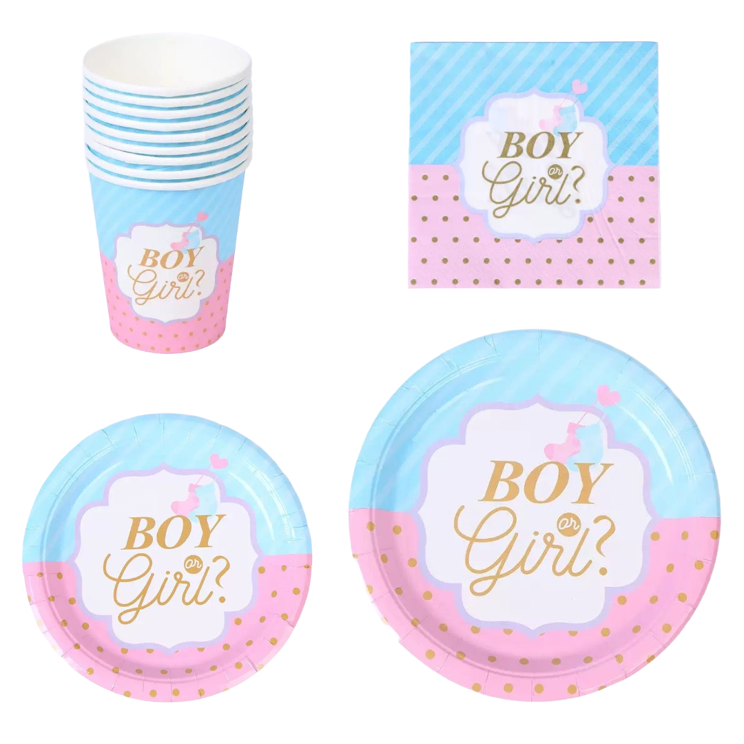 64pcs Gender Reveal Partyware Bundle